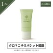 画像1: 【１本クロネコゆうパケット配送】オリーブハンドクリームＳ（薄型）34g (1)