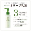 画像4: オリーブ乳液　120ml　（旧：ミルクローション） (4)